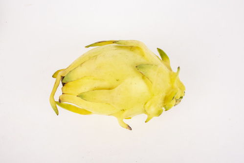 晒柿饼图片素材下载 食品餐饮与微生物肥料视觉呈现