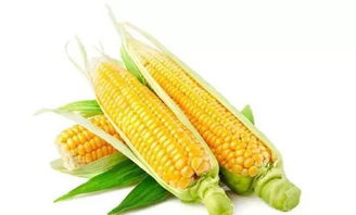 京东进军蔬菜领域 以创新产品重新定义健康生活标准