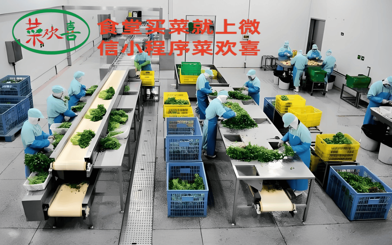 泉州市蔬菜配送市场“菜欢喜”农产品销得快 计算机信息技术的应用与启示