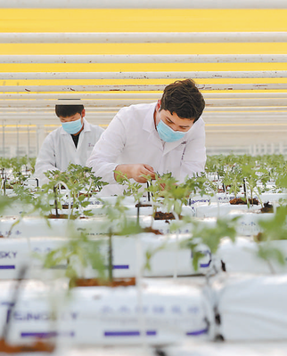 乡村振兴路正宽 计算机信息技术驱动农业现代化新篇章