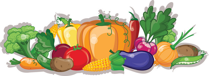 卡通蔬菜与水果 计算机信息技术在动画与教育中的创新应用